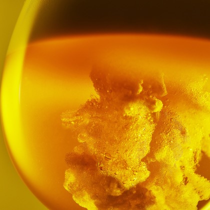 C.A.Pが撮影した料理撮影の写真