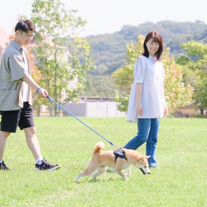 Photo of couple photo shoot taken by 高夏写真店