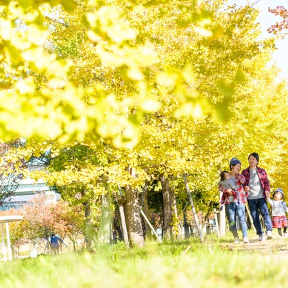 ライトハウスフォトが撮影したウェディングや家族、ビジネスの写真