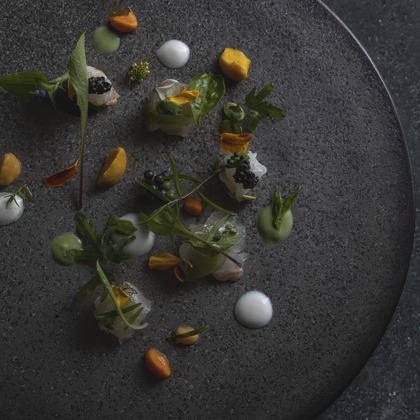 後藤拓海が撮影したウェディングや家族、ビジネスの写真