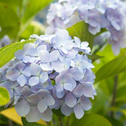 RETRIN株式会社が撮影した「:albumName」の写真