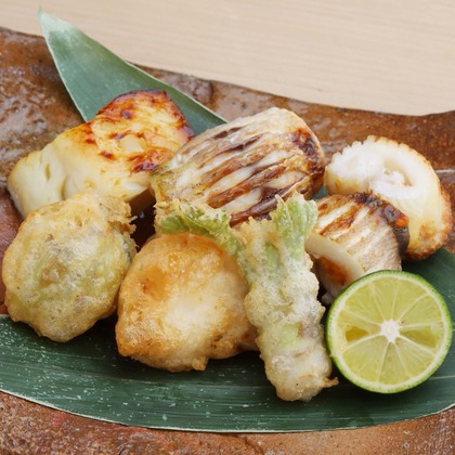 森安　照が撮影した「:albumName」の写真