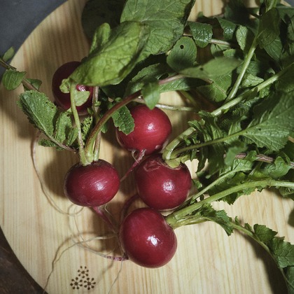 濱田茉里が撮影した料理撮影の写真