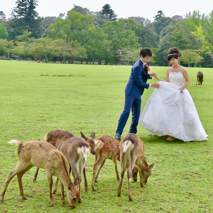 Photo of :albumName taken by Kiki photo works