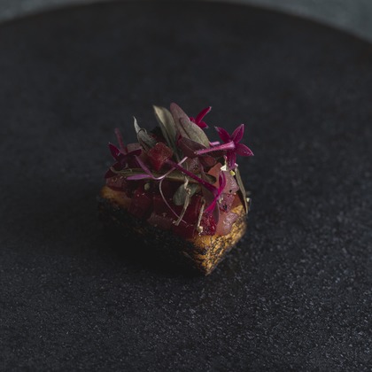 後藤拓海が撮影したウェディングや家族、ビジネスの写真