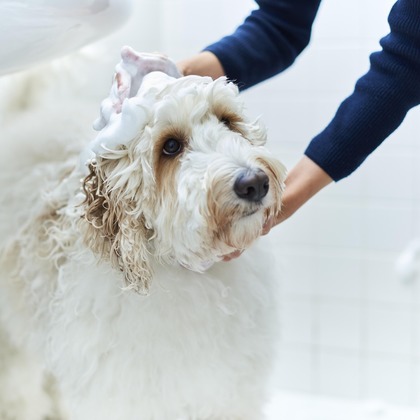 大橋裕紀が撮影した商品/物撮りの写真
