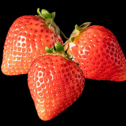 岩坪眞一郎が撮影した商品/物撮りの写真