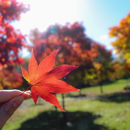 芳賀 翔大が撮影した「北海道」の写真