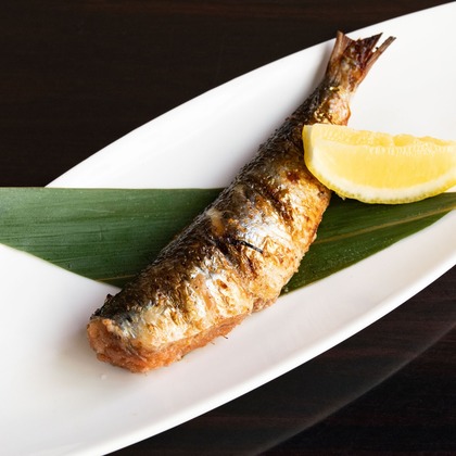 岩坪眞一郎が撮影した「:albumName」の写真