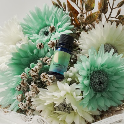 こうち旅人が撮影した商品/物撮り/人物撮影の写真