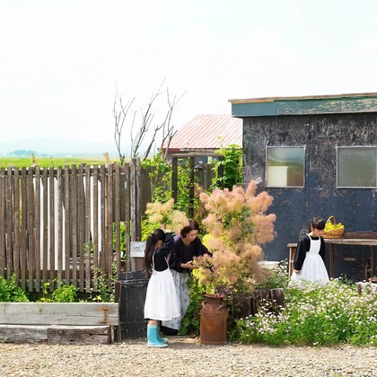 白井由香里写真事務所が撮影したその他の写真