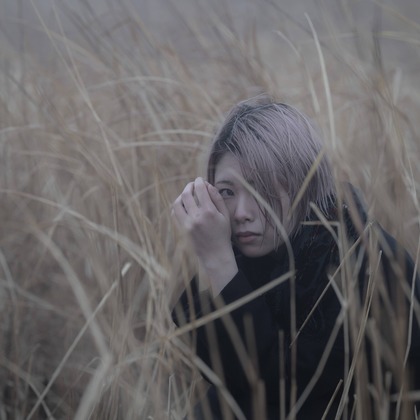 ならもとかずやが撮影した「:albumName」の写真