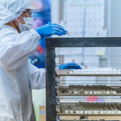 岩城慶子が撮影した店舗/オフィス/サロン撮影/イベント/スナップ撮影の写真