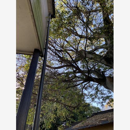 合同会社Joy Stormが撮影した「:albumName」の写真