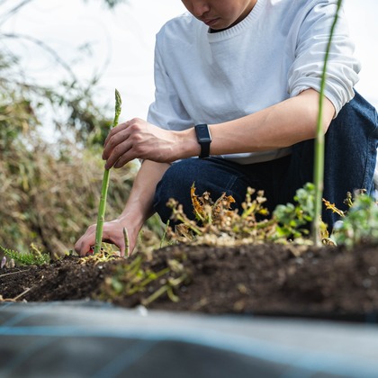 oryo studioが撮影したウェディングや家族、ビジネスの写真