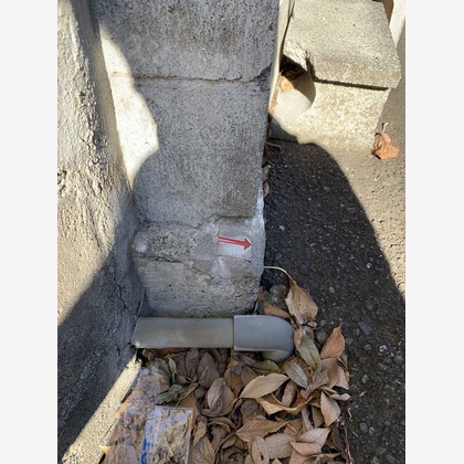 合同会社Joy Stormが撮影した「:albumName」の写真