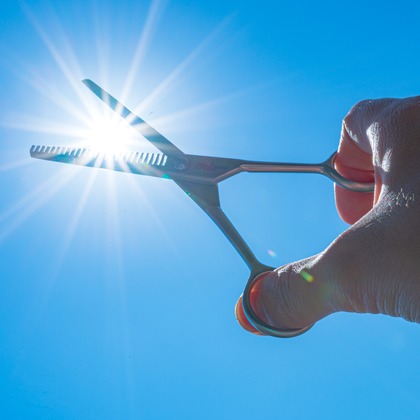 高木勇斗が撮影したその他の写真