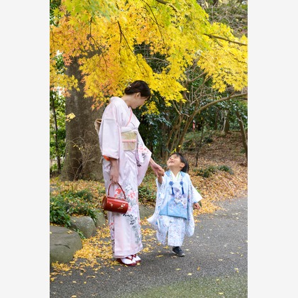 アラタンホヤガが撮影した「:albumName」の写真