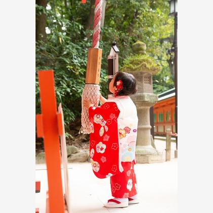 yamegrapher 〜平島写真事務所〜が撮影した七五三フォトの写真