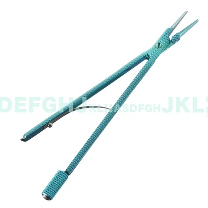 西原毅が撮影した「:albumName」の写真