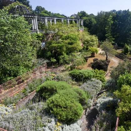 Lucky Sliver Sixpenceが撮影した「プラン名：Romantic Park(ロケーション参考写真）」の写真