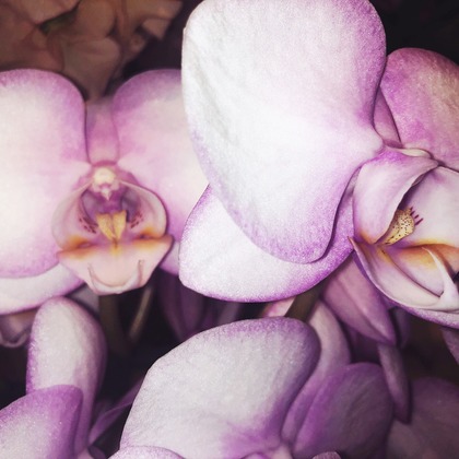 磯谷亮太が撮影したその他の写真