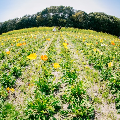 Tomi Photo Studioが撮影した「:albumName」の写真