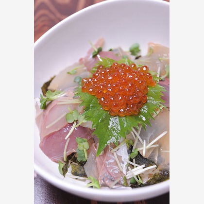 佐野将人が撮影した「:albumName」の写真