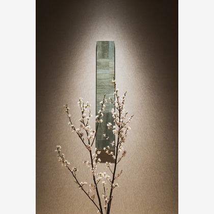 studio9thが撮影した「:albumName」の写真