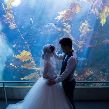 Wedding, Bridal Photos taken by Mio