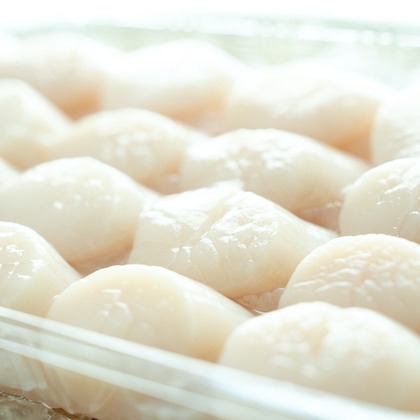 Photography_KanaUが撮影したウェディングや家族、ビジネスの写真