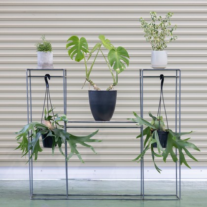 梅田　紫邑が撮影した商品/物撮りの写真