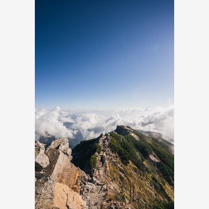 登 将紀が撮影したその他/イベント/スナップ撮影の写真