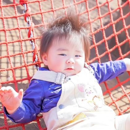 尾田惇吾が撮影した「:albumName」の写真