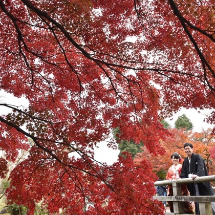 キキフォトワークスが撮影した「:albumName」の写真