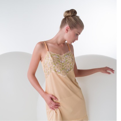 舩津　孝が撮影した「:albumName」の写真