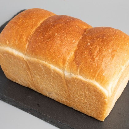 岩坪眞一郎が撮影した「:albumName」の写真