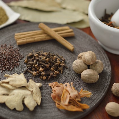 スタジオ11が撮影した「:albumName」の写真