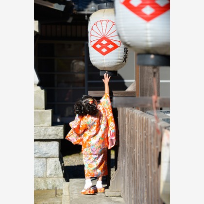 アラタンホヤガが撮影した「:albumName」の写真