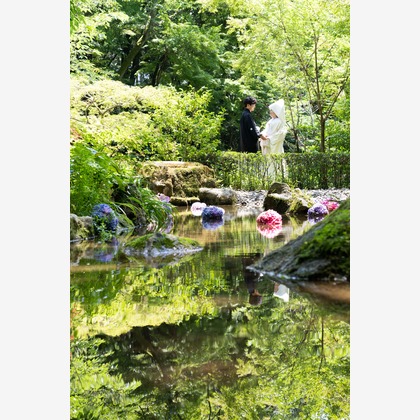 ハネムーンアベニューが撮影したその他の写真