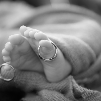 アラタンホヤガが撮影した「:albumName」の写真