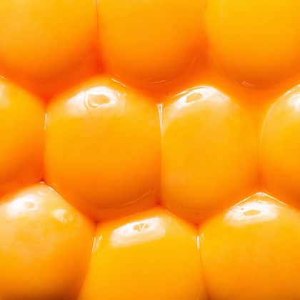 スタジオ11が撮影した「:albumName」の写真