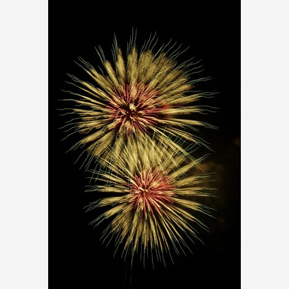 細部　歩が撮影したウェディングや家族、ビジネスの写真