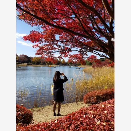 Lunが撮影した「」の写真