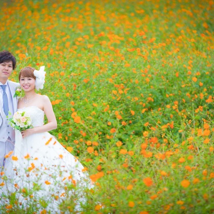 studio HATOYAが撮影したウェディングや家族、ビジネスの写真