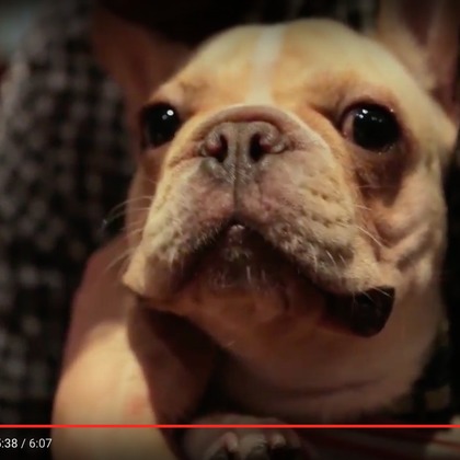 Photo of メモリアル・ムービー taken by shogo filmmaker