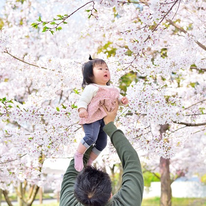 Design studio lumière（井上 敦仁）が撮影した「:albumName」の写真