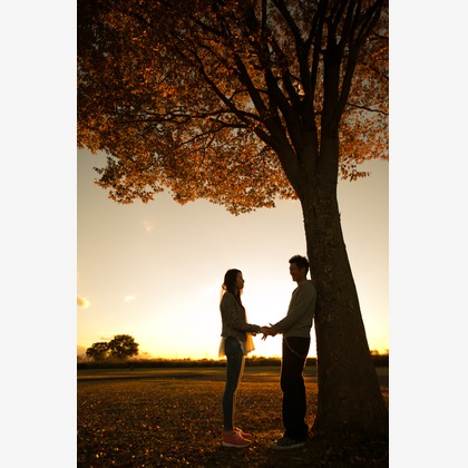 キタノフォトオフィス (北野尚史)が撮影した「:albumName」の写真