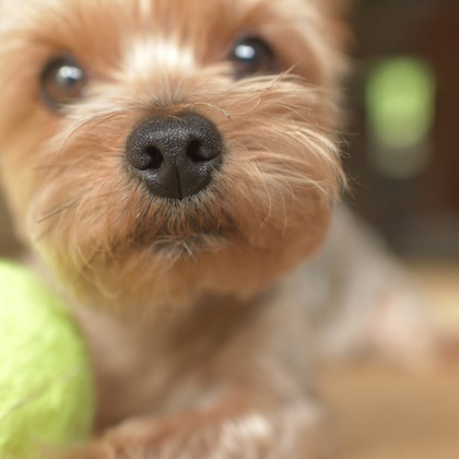 大熊和輝が撮影したウェディングや家族、ビジネスの写真