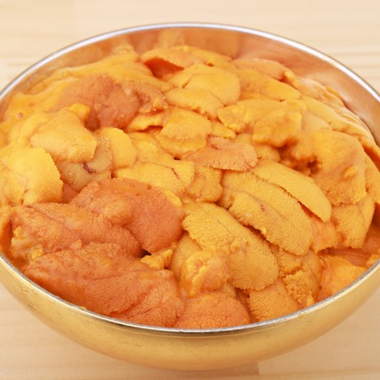 森安　照が撮影した「:albumName」の写真